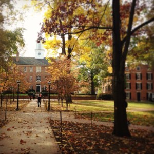 Photo by Emily McIntyre