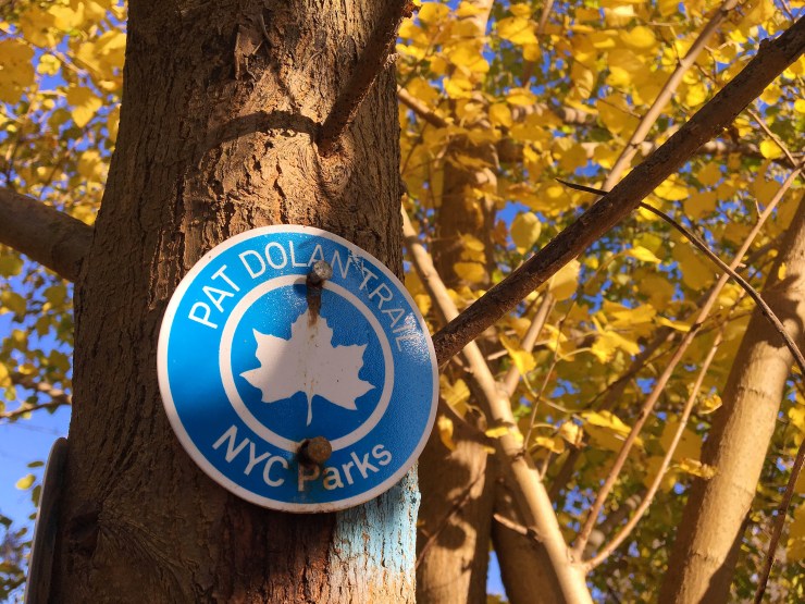 blue circle sign with "Pat Dolan Trail NYC Parks" text